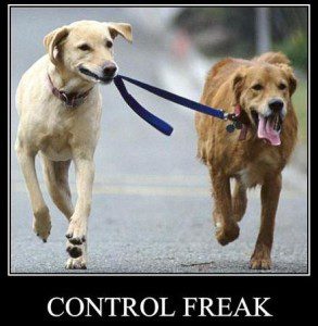 control-freak-dogs