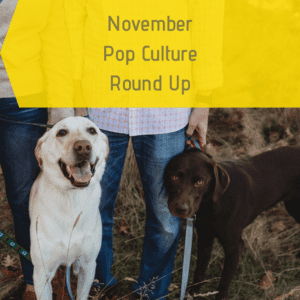 Nov 2020 Pop Culture Round Up