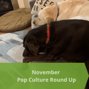 November Pop Culture Round Up
